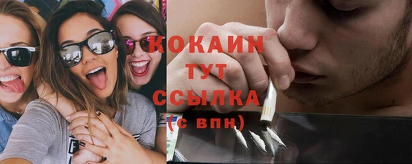 твердый Алексин