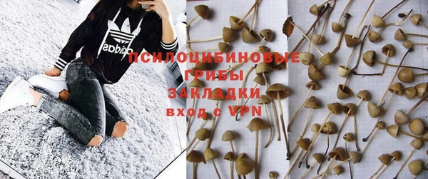 apvp Алексеевка