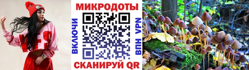 Галлюциногенные грибы Psilocybine cubensis Чернушка