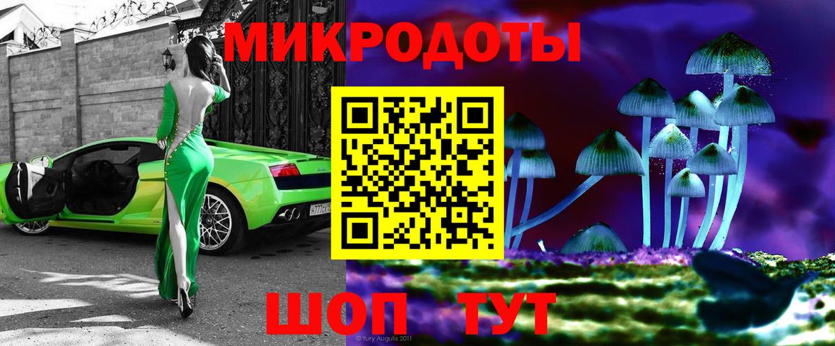Псилоцибиновые грибы Psilocybe  Вход с VPN  как найти   Чернушка 