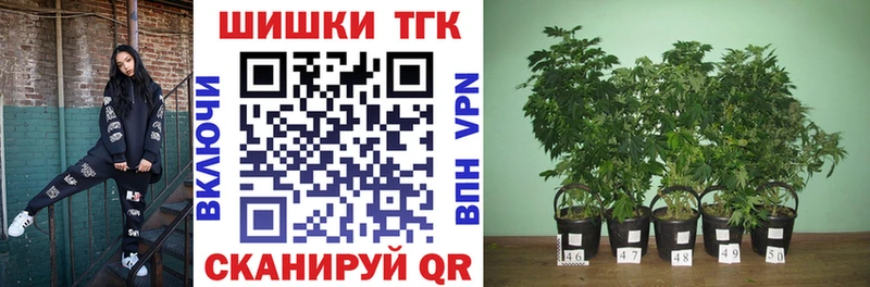 Конопля семена  где найти наркотики  Чернушка 